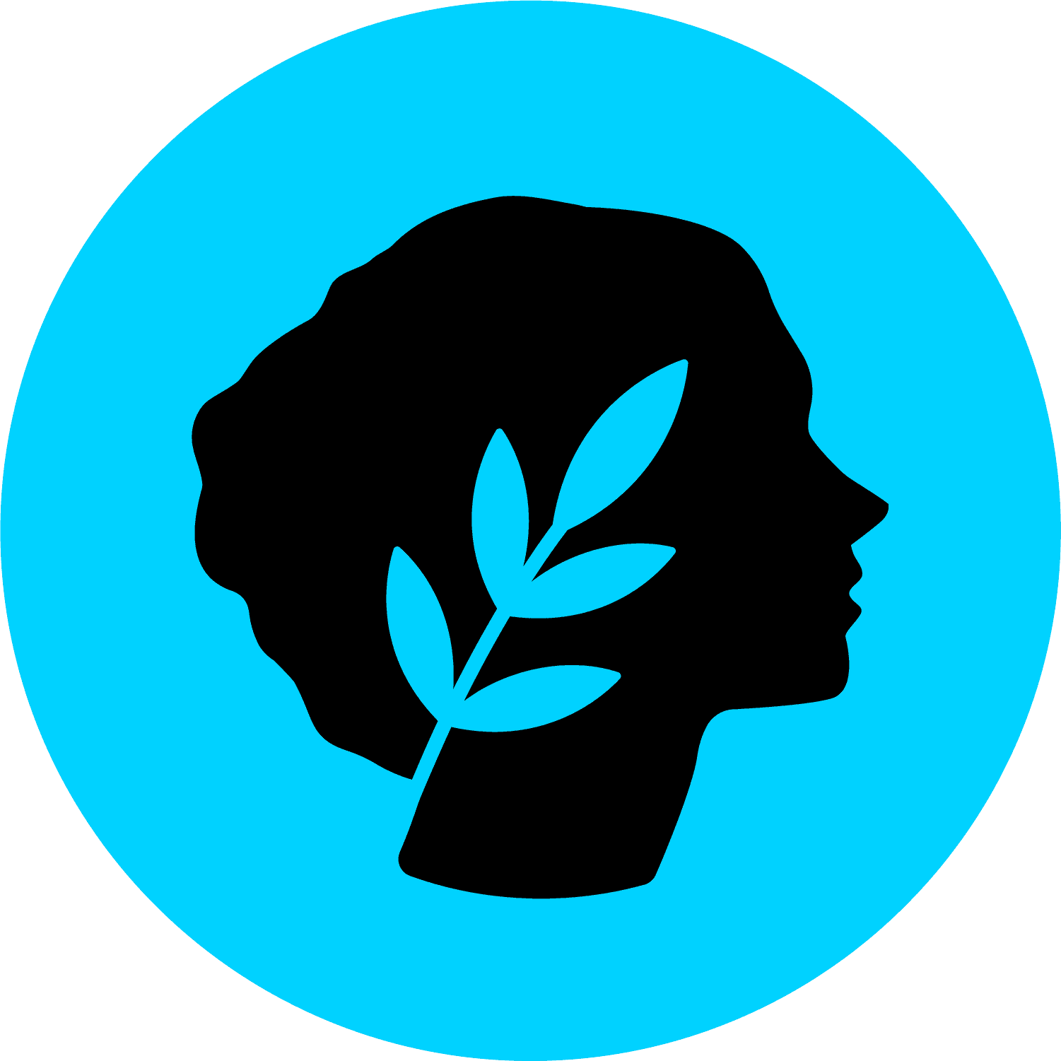metis-token